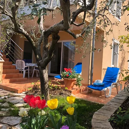 Apartment Alexandra 4 *