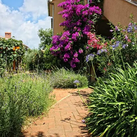 Alexandra 4 Apartment Pjescana Uvala